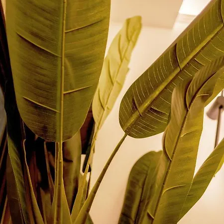 Da Placida Al Mare - Luxury Soverato Soverato Marina