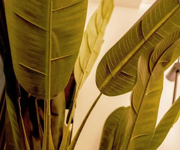 Da Placida Al Mare - Luxury Soverato Soverato Marina